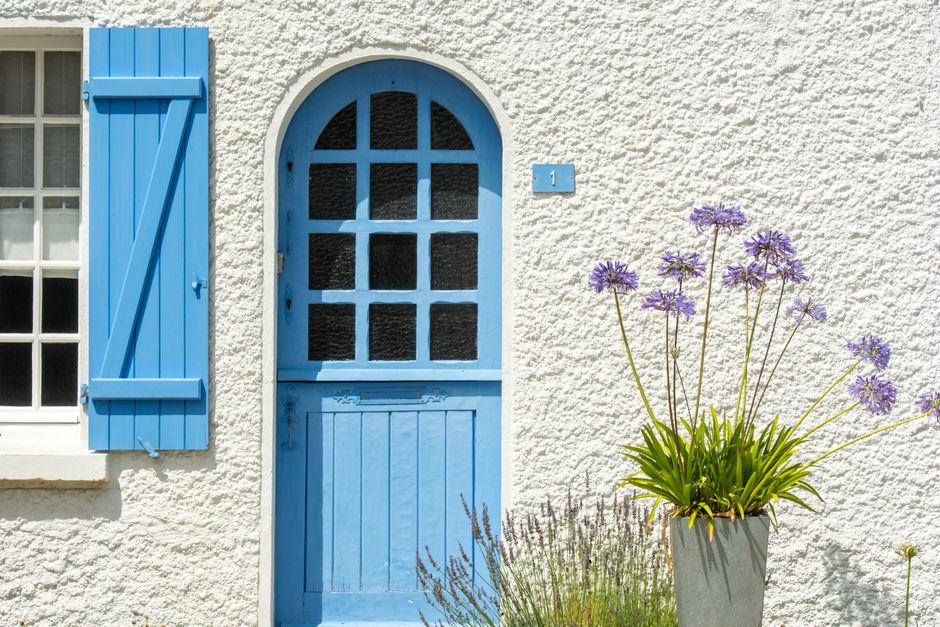 Blauwe agapanthus in een pot naast een blauwe voordeur